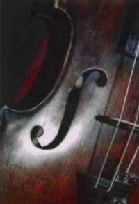 My Violin